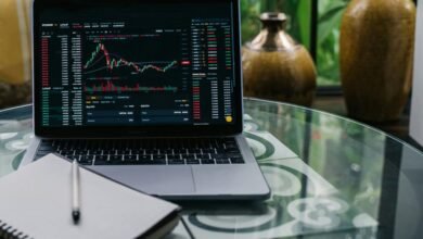 cannabis stocks investment opportunities