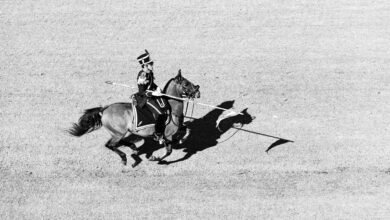 mylawyer360 financial performance analysis