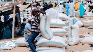 nft marketplace for growth