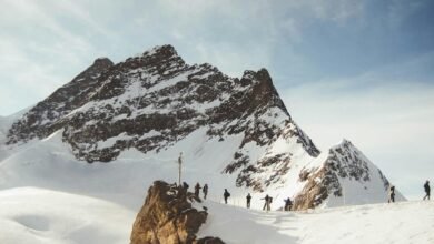 investigate multiple contact numbers