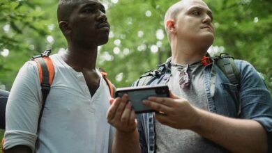 phone number lookup service