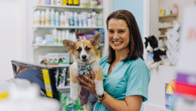 Your Complete Guide to Vet in Coffs Harbour