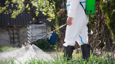 The Complete Guide to Pest Control in Lismore