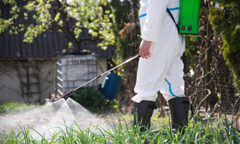 The Complete Guide to Pest Control in Lismore