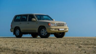 reliable online stability model